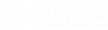 97522国际游戏生物